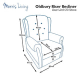 The Oldbury Riser Recliner / Lift & Tilt Chair, Beige Fabric with USB Charging